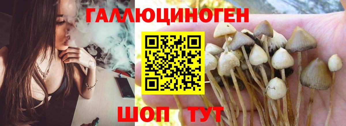 Псилоцибиновые грибы мухоморы Тимашёвск